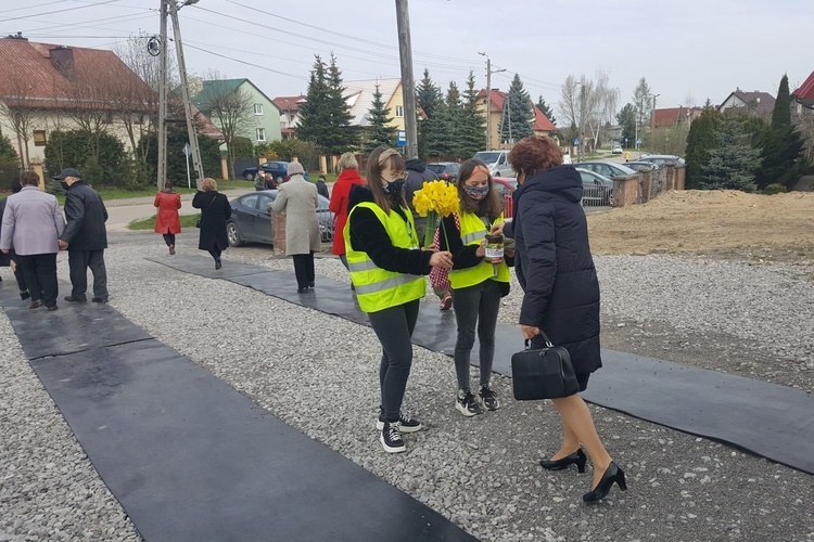 Żonkile nadziei w Ostrowcu Świętokrzyskim