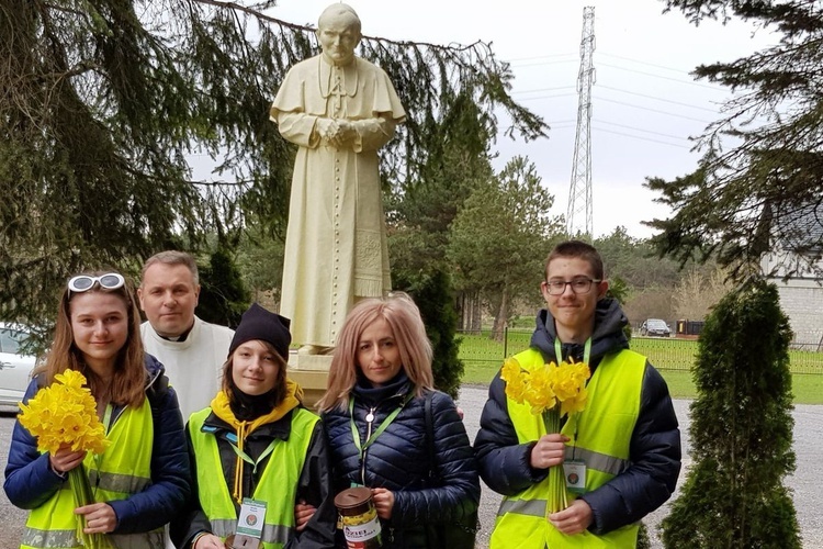 Żonkile nadziei w Ostrowcu Świętokrzyskim