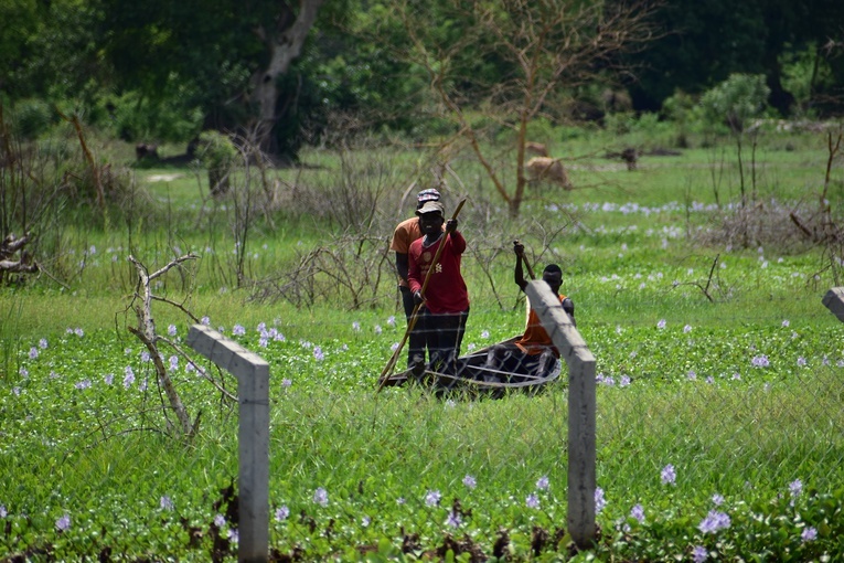 Przez Moyo do Bidibidi