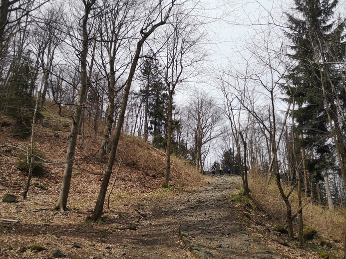 Pierwszomajowa pielgrzymka na Ślężę 2021