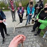 VI Śląska Pielgrzymka "Z Buta po Miłosierdzie"