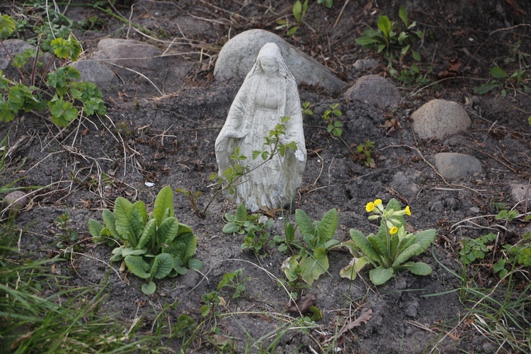W miejscu, gdzie stał drewniany krzyż dziś stoi figurka Matki Bożej a z czasem będą kwitły kwiaty.