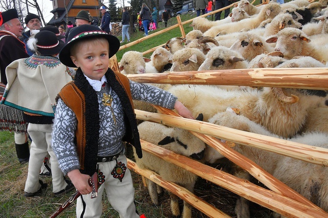 Święto Bacowskie na Tarasówce