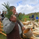 Święto Bacowskie na Tarasówce