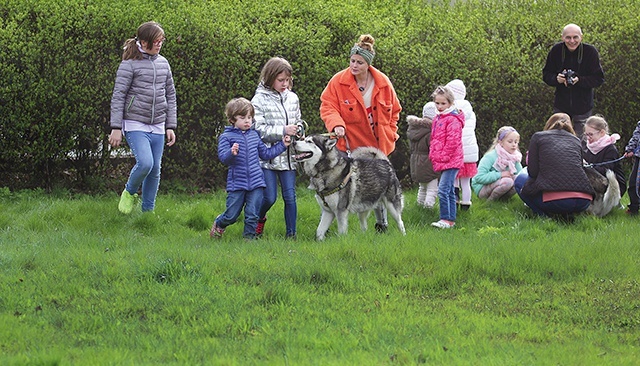 Husky uwielbiają być w ruchu, dlatego spotkanie z dziećmi jest dla nich radością. 