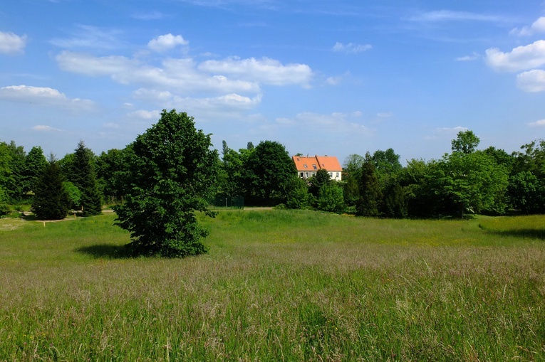 Region. Mieszkańcy województwa śląskiego coraz częściej osiedlają się w małych miejscowościach