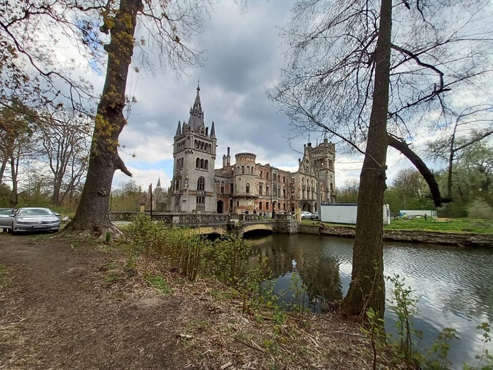 Pałac i park Schaffgotschów w Kopicach. Akcja sprzątania