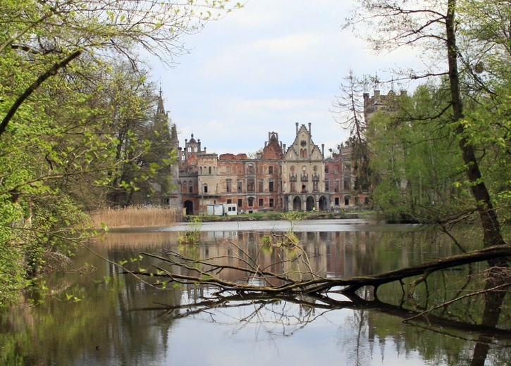 Pałac i park Schaffgotschów w Kopicach. Akcja sprzątania