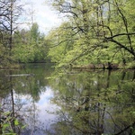 Pałac i park Schaffgotschów w Kopicach. Akcja sprzątania