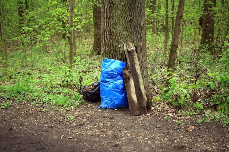 Pałac i park Schaffgotschów w Kopicach. Akcja sprzątania