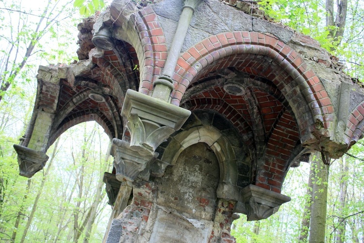 Pałac i park Schaffgotschów w Kopicach. Akcja sprzątania