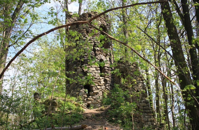 Pałac i park Schaffgotschów w Kopicach. Akcja sprzątania