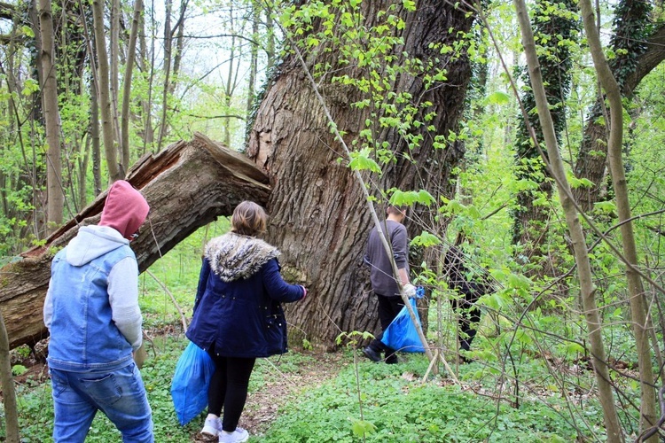 Pałac i park Schaffgotschów w Kopicach. Akcja sprzątania