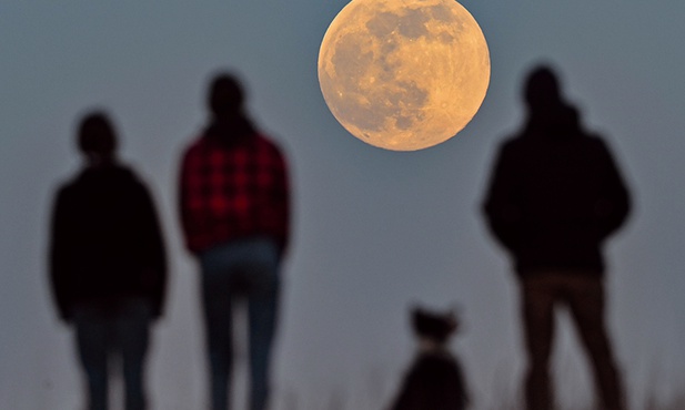 WSCHÓD SUPERKSIĘŻYCA TO ZJAWISKO OCZEKIWANE NIE TYLKO PRZEZ ASTRONOMÓW. 
26.04.2021  SIEVERSDORF, BRANDENBURGIA