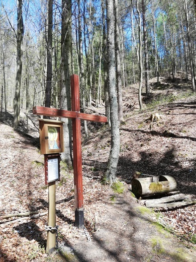 27. Grabowiec, kapliczka niedaleko monasteru Sióstr Betlejemitek