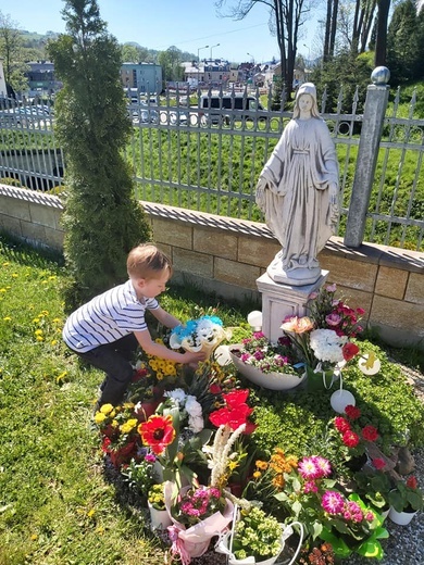 Kwiaty dla Matki Bożej