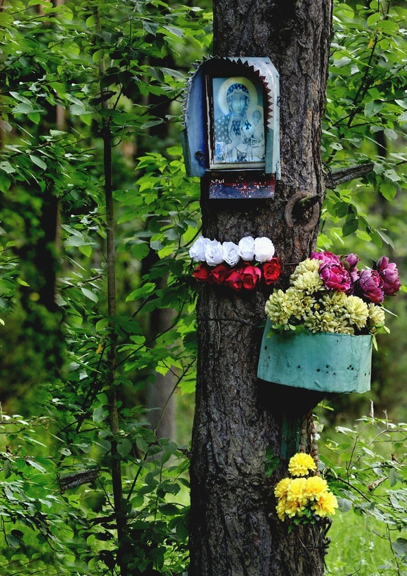 Okolice Pułtuska. Kapliczka maryjna