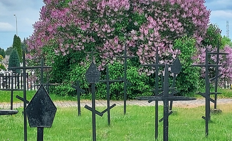 Zabytkowe groby żołnierskie z okresu I wojny światowej na cmentarzu przy ul. Granicznej w Opocznie.