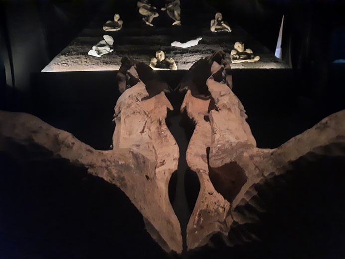 Wydobyte z ciemności