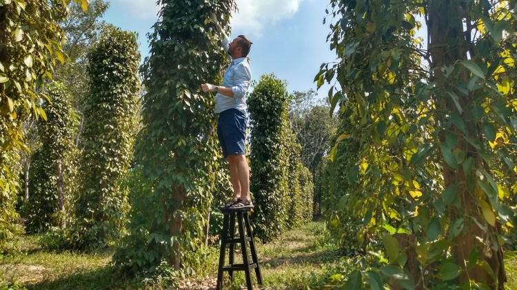 11.05.2021 | Podróże za smakiem