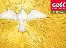 W najnowszym Gościu: dodatek historyczny