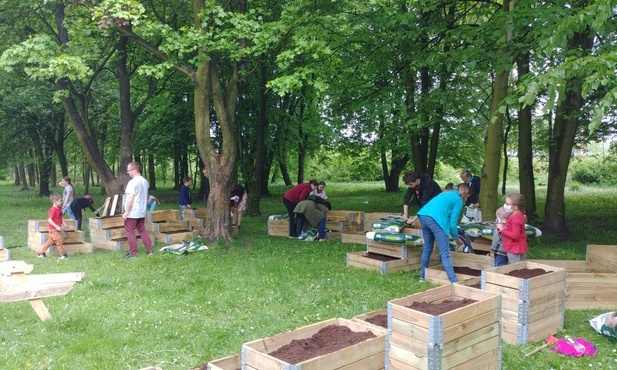 Chorzów. W Batorym przy ul. Skrajnej powstaje ogród społeczny