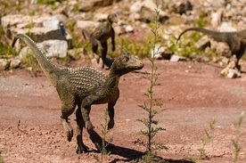 Wymieraniu dinozaurów towarzyszyło wymieranie ssaków