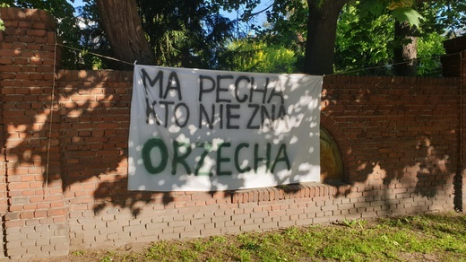 "Orzechowa" ul. Bujwida