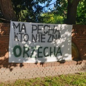 "Orzechowa" ul. Bujwida