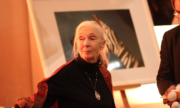 "Katolicki Nobel" dla Jane Goodall