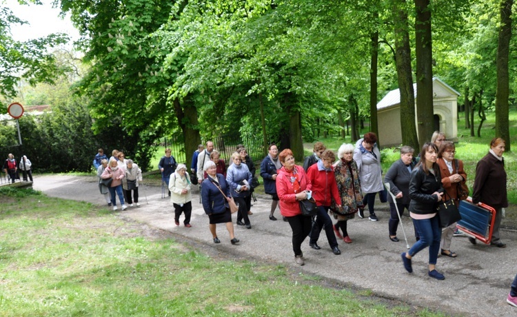 Pielgrzymka Franciszkańskiego Zakonu Świeckich na Górę Świętej Anny