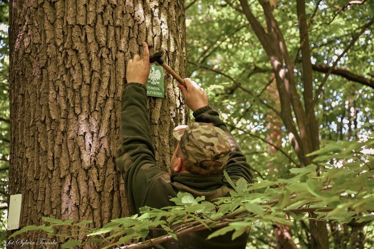 Buda Stalowska. Pomniki oznakowane