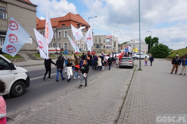 II Marsz dla Życia i Rodziny w Żarach