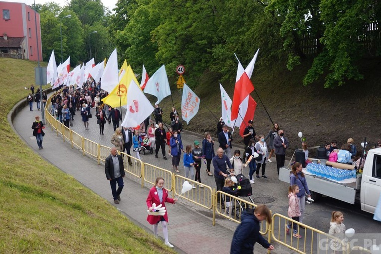 II Marsz dla Życia i Rodziny w Żarach