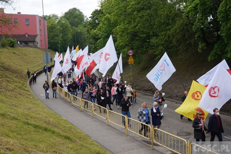 II Marsz dla Życia i Rodziny w Żarach