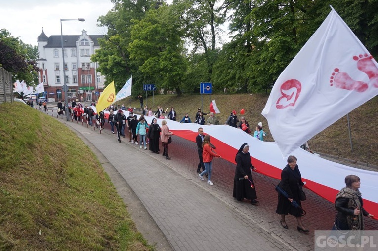 II Marsz dla Życia i Rodziny w Żarach