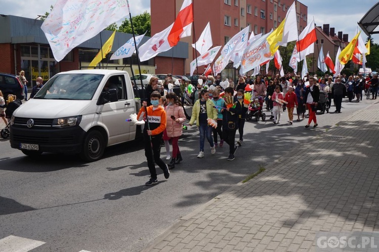 II Marsz dla Życia i Rodziny w Żarach