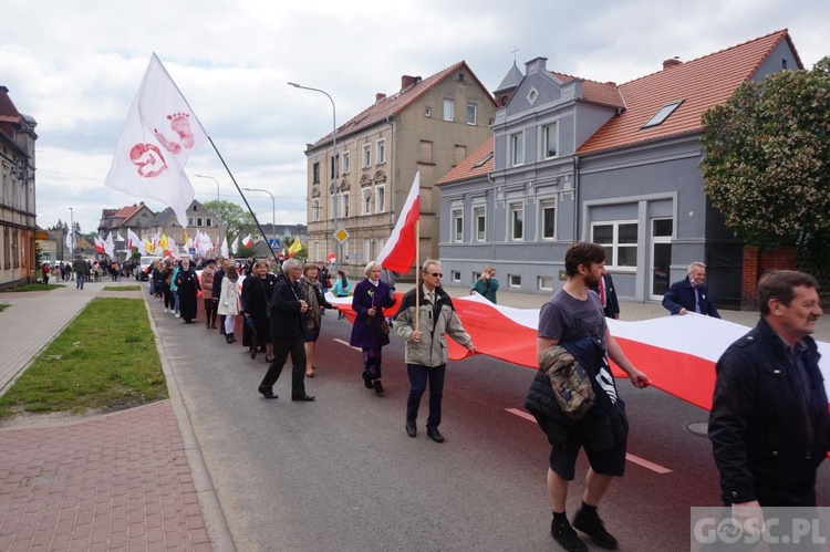 II Marsz dla Życia i Rodziny w Żarach