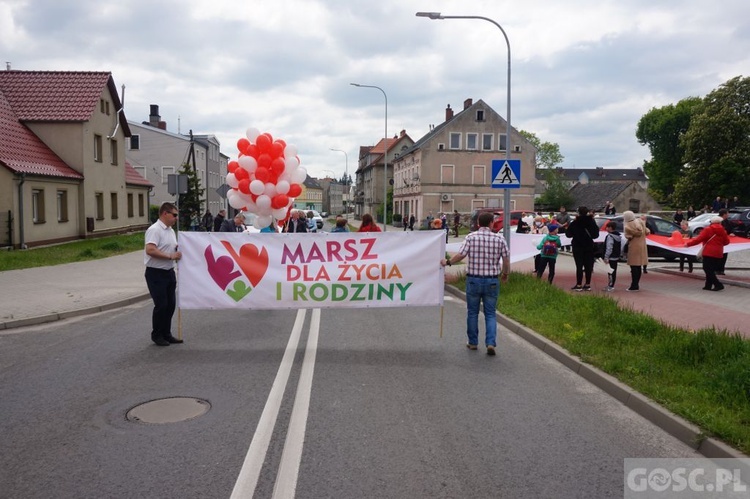 II Marsz dla Życia i Rodziny w Żarach