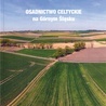 ▲	Marek Bednarek, Krzysztof Spychała, Osadnictwo celtyckie na Górnym Śląsku, Narodowy Instytut Dziedzictwa, Opole 2020, ss. 172.