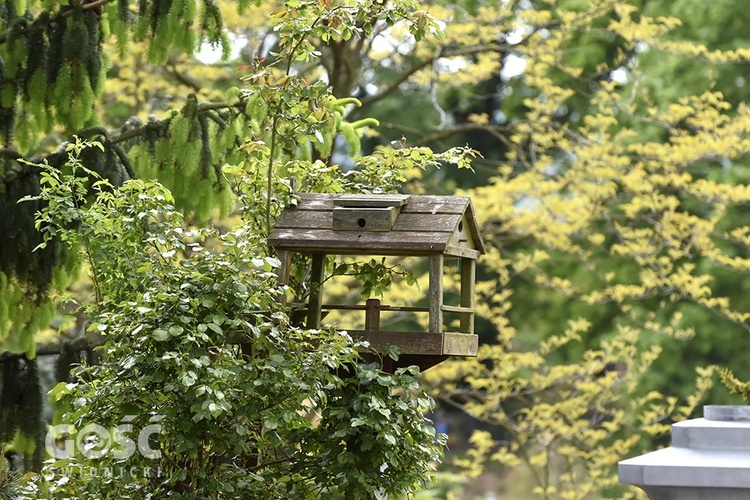 Majówka w Arboretum z biskupem