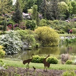 Majówka w Arboretum z biskupem