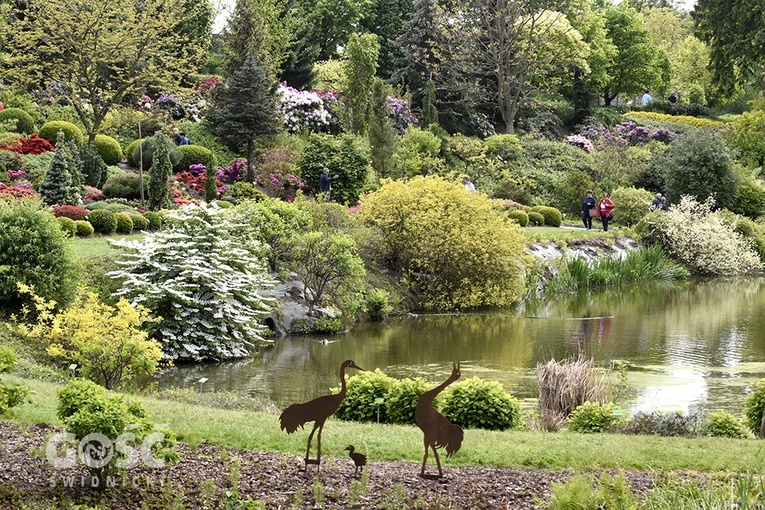 Majówka w Arboretum z biskupem