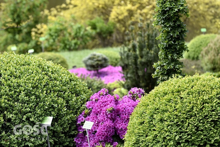 Majówka w Arboretum z biskupem