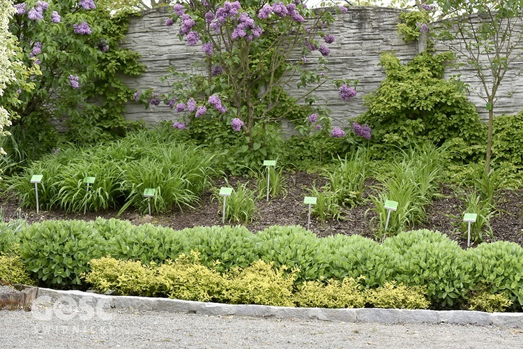 Majówka w Arboretum z biskupem