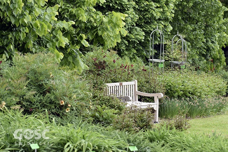 Majówka w Arboretum z biskupem