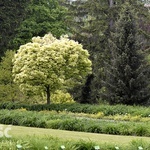 Majówka w Arboretum z biskupem