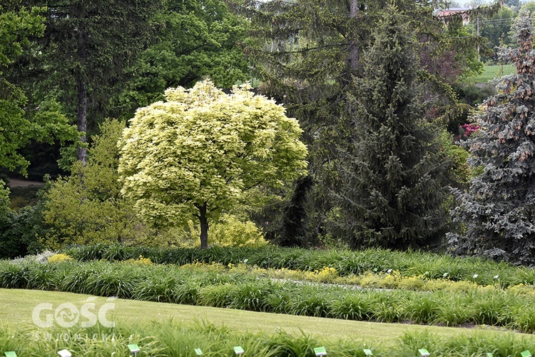 Majówka w Arboretum z biskupem