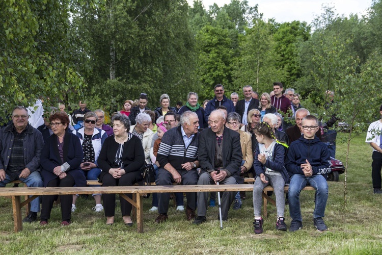 Wiślisko pod kopcem