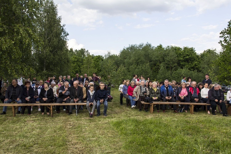 Wiślisko pod kopcem